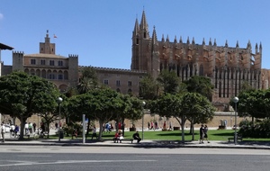 Palma : la cathédrale
